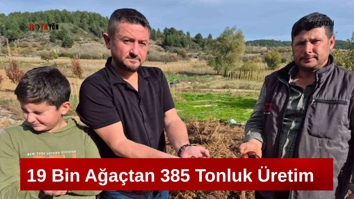 19 Bin Ağaçtan 385 Tonluk Üretim