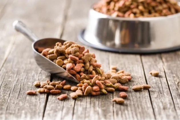 Yeni yapılan 31 bilimsel araştırmaya g&ouml;re, vegan k&ouml;pek maması ve vegan kedi mamasının iyi sindirildiğini ortaya koydu