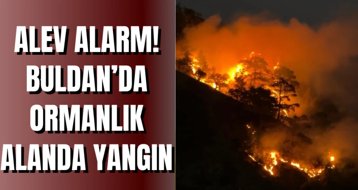 ALEV ALARM! Buldan’da Ormanlık Alanda Yangın