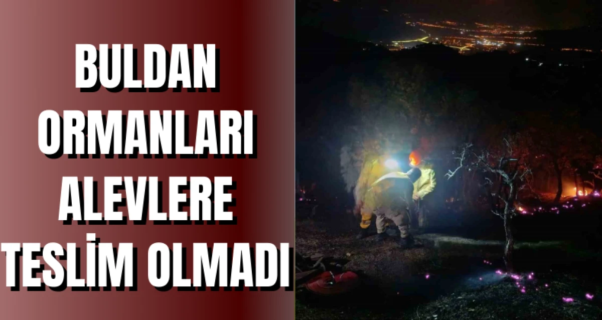 Buldan Ormanları Alevlere Teslim Olmadı