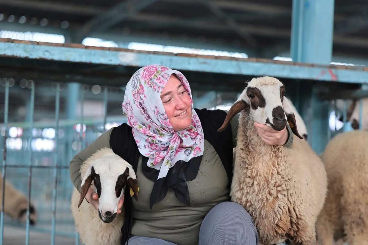 Denizli B&uuml;y&uuml;kşehir Belediyesi&rsquo;nden Buldan&rsquo;daki 43 &Uuml;reticiye Hayvancılık Desteği