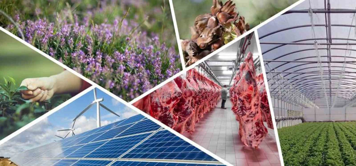 Denizli Tarımında 2025 Hamlesi: 82 Milyon TL&rsquo;yi Aşkın Hibe Desteği