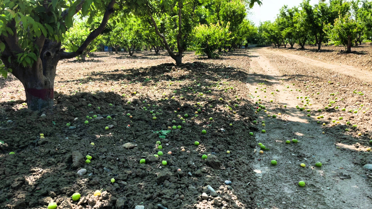 Denizli’de kuvvetli rüzgar ve fırtına bekleniyor