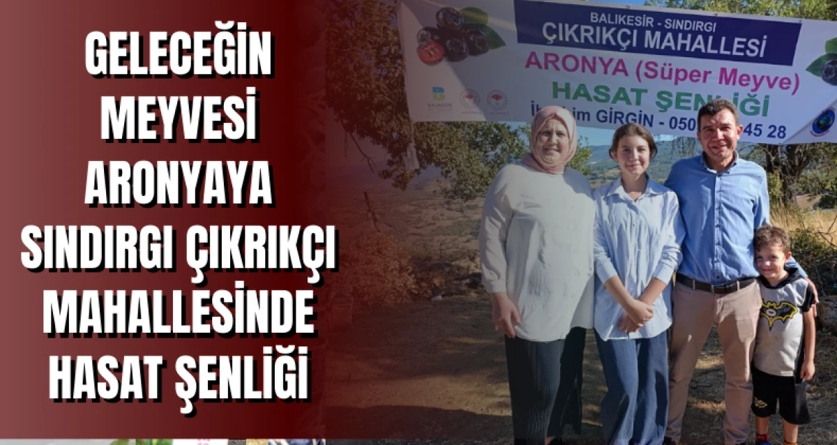 GELECEĞİN MEYVESİ ARONYAYA SINDIRGI ÇIKRIKÇI MAHALLESİNDE HASAT ŞENLİĞİ