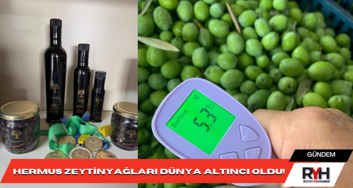 Hermus Zeytinyağları Dünya Altıncı Oldu!