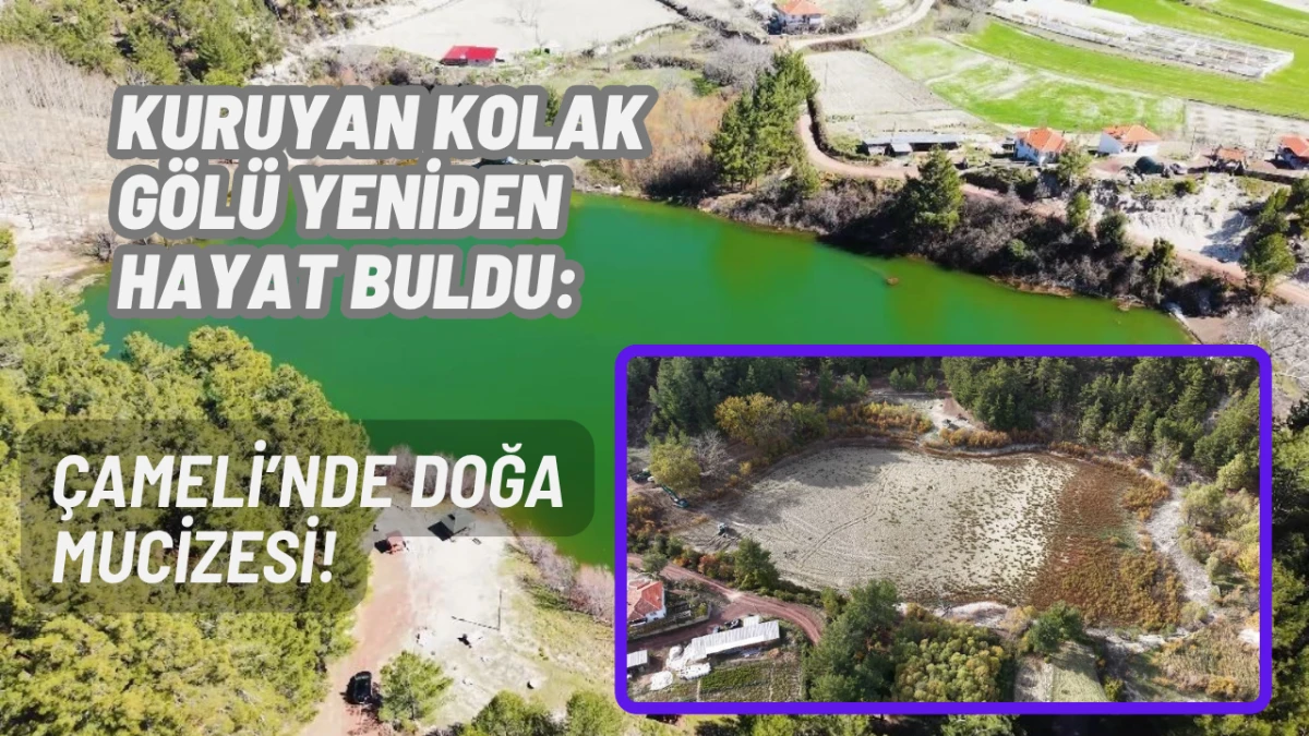 Kuruyan Kolak G&ouml;l&uuml; Yeniden Hayat Buldu: &Ccedil;ameli&rsquo;nde Doğa Mucizesi!