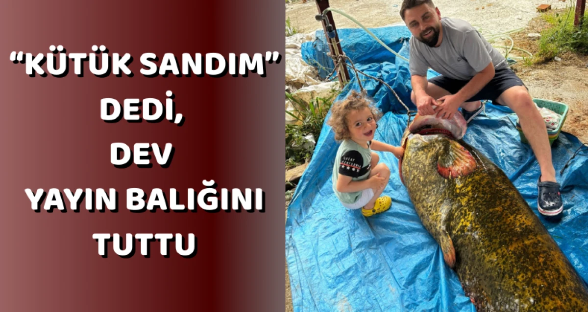 “Kütük Sandım” Dedi, Dev Yayın Balığını Tuttu