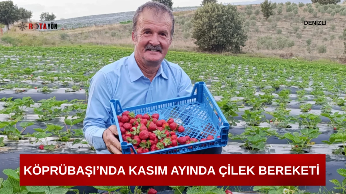 Manisa Köprübaşı’nda Kış Ortasında Çilek Bereketi!