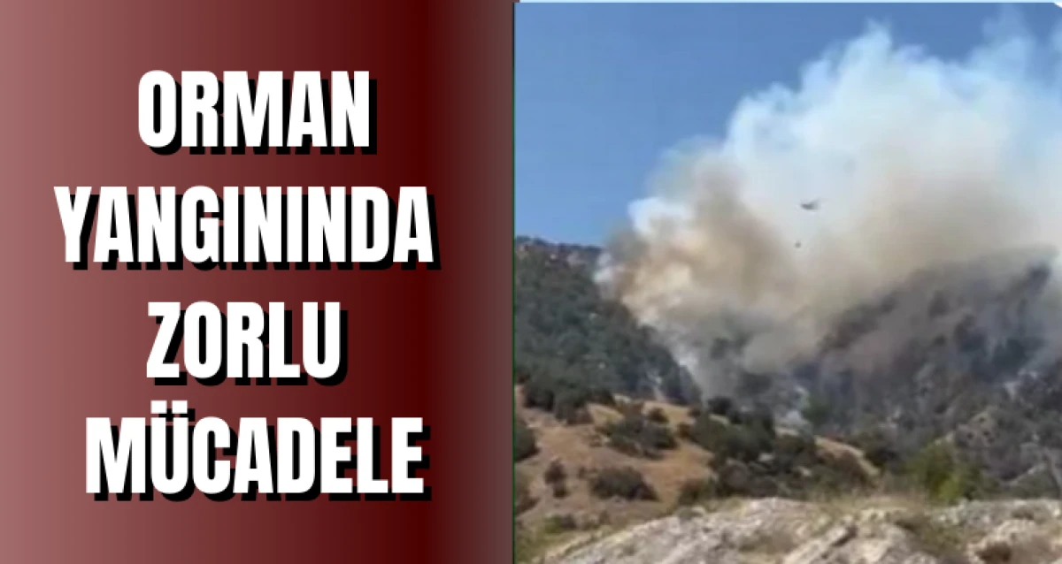 Orman Yangınında Zorlu Mücadele