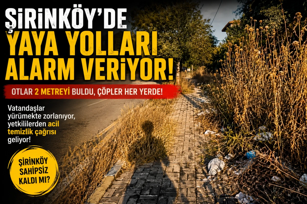Şirink&ouml;y Mahallesi'nde Tepki &Ccedil;eken G&ouml;r&uuml;nt&uuml;: Yaya Yolları Ot ve &Ccedil;&ouml;plerle Kaplandı