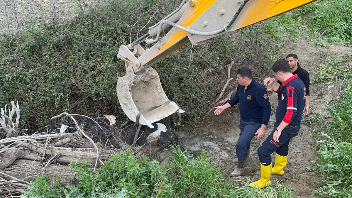Su kanalına düşen inek, itfaiye ekipleri tarafından kurtarıldı