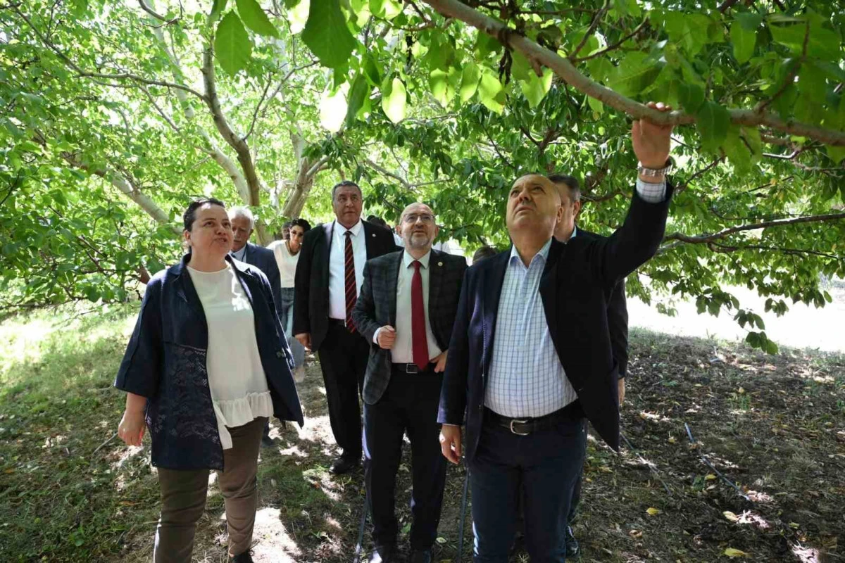 Zirai Donun Yaraları Sarılacak mı? Meclis Heyeti Çivril’de